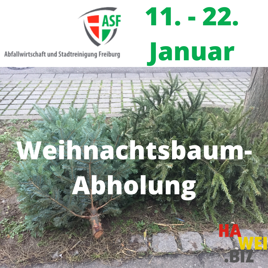 Weihnachtsbaum Abholung 15