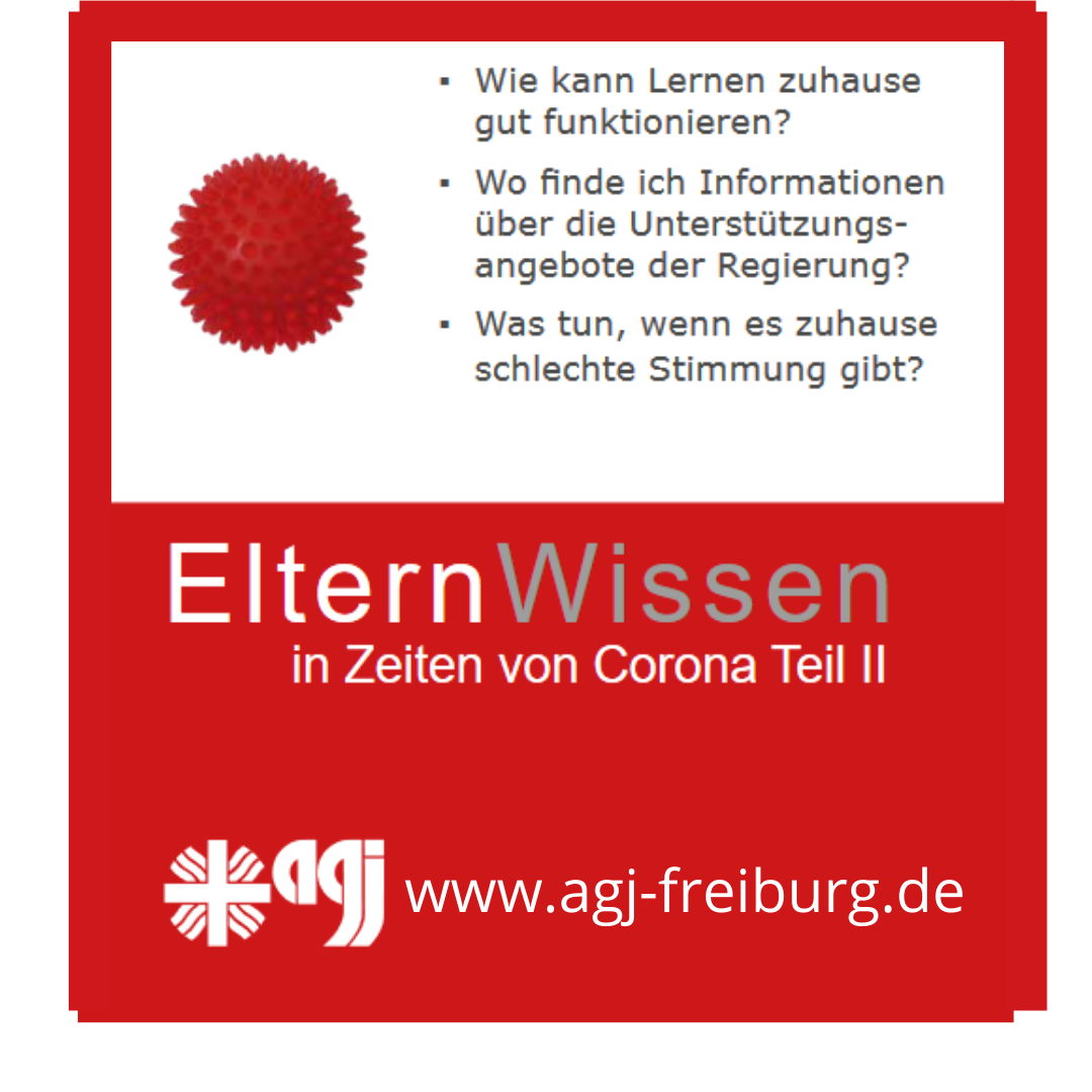 www.agj freiburg.de
