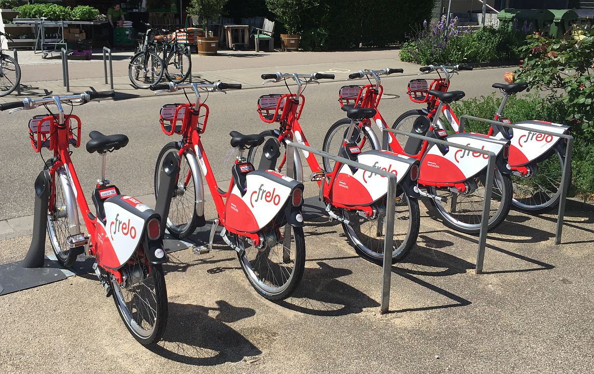 Frelo im Rieselfeld Copyright Gabi Obi web